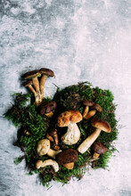 Forest Mushrooms On A Gray Background. White Mushroom, Polish Mushroom, Butter Dish