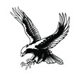 Vintage eagle, great design for any purposes. Vector illustration design. American eagle vector design. Vintage background. Flying bald eagle. Black background. Vector icon.