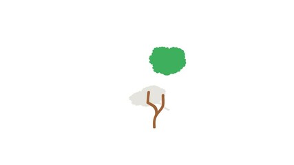 Poster - Tree icon animation isometric best object on white backgound