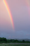 Fototapeta Tęcza - A large rainbow in the blue-pink sky over the mountains and forest. Evening after the rain.