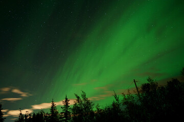 Poster - Natural light display of aurora with dynamic patterns