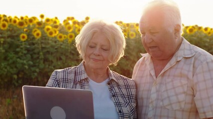 Poster - Portrait in front of the camera of a smiling large woman and man farmers in the middle of sunflowers field they using a laptop to analysing something