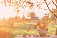 Bouquet Autumn Flowers In Rustic Jug On Wooden Table Outdoor At Sunset