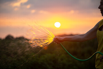 Gardener female holding hand hose sprayer and watering plants in garden sunset light