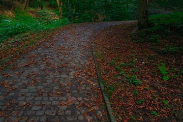 Wall Mural - picturesque October park footpath way with falling leaves on a ground dusk atmospheric lighting day time in the middle in autumn