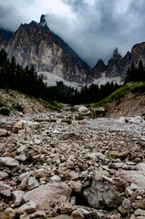 Poster - Scenic shot of a high rocky mountain with a forest on the bottom of it