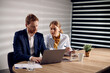 © Drazen - Two colleagues collaborate while working on laptop at business office.
