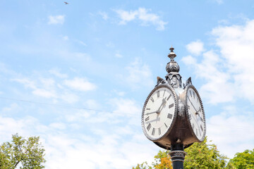 Wall Mural - Triangular street clock in the park on a background of sky