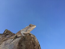 Low Angle View Of A Rock Against Clear Blue Sky