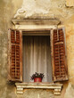 Window with lattice blinds and flower pot in Piran, Slovenia
