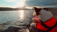Funny Dog In Boat In A Life Jacket. Jack Russell Terrier At Travel 