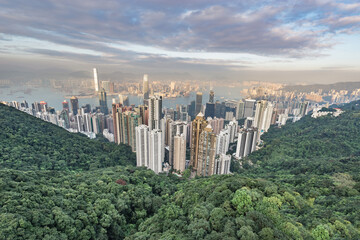 Wall Mural - View of the downtown of Hong Kong from Victoria Peak.