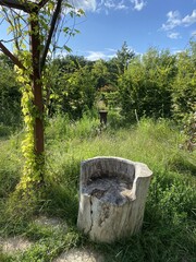 Wall Mural - tabouret en bois dans le Parc Floral de la Roseraie de Poitiers