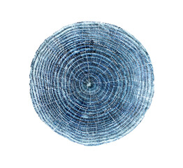 Wall Mural - Realistic blue toned photo of detailed cut tree slice with rings and organic texture