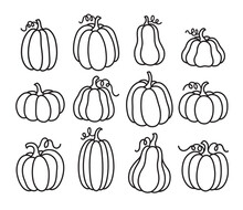 Outlined Pumpkin, Pumpkin Doodles, Pumpkin Line Art Vector Illustration.