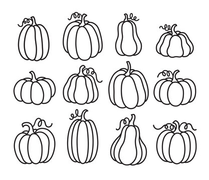 Fototapete - Outlined pumpkin, pumpkin doodles, pumpkin line art vector illustration.