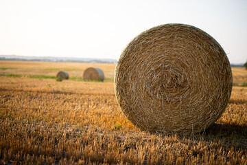 Canvas Print - Closeup of haystack in the farm field