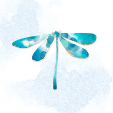Cute Watercolor Blue Dragonfly Vector