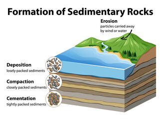 Canvas Print - Formation of sedimentary rocks