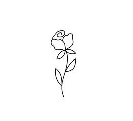 Wall Mural - Vector isolated tiny beautiful rose contour line drawing. Small simple black line rose drawn icon, logotype, symbol 