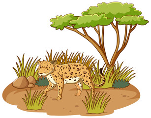 Wall Mural - Leopard in savannah forest on white background