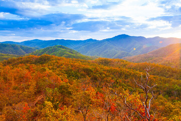 Poster - Scenery of autumn mountains at sunset.