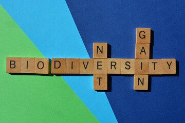 Wall Mural - Biodiversity, Net, Gain, crossword