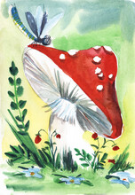 Old Style Drawing. Blue Dragonfly On Hat Bright Red Fly Agaric Mushroom With White Dots Surrounded By Forest Grasses And Flowers. Sunny Hand-drawn Watercolor Illustration