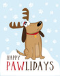 Happy Pawlidays - funny greeting for Christmas with cute dog in deer antler, and snowflakes.