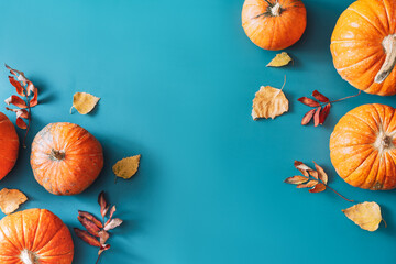 In the corners are beautiful pumpkins with yellow leaves on blue background