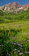 © Jorge Moro - Vertical Pano image of summertime wildflowers and the world famous Maroon Bell Mountains in Colorado