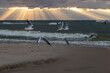 Morze Bałtyckie zachód słońca plaża chmury Ptaki