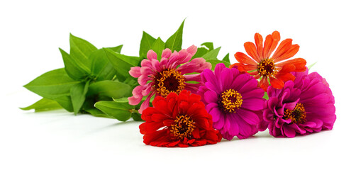 Sticker - Bouquet of zinnia flowers