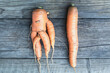 © Enso - Ugly forked deformed carrot vs regular straight one on wooden background