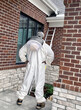 Pest control technician survey bee removal in bee suit