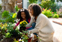 Happy African American Mother And Daughter Planting Flowers