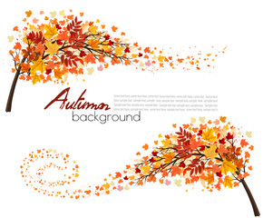 Poster - Autumn absctact background with a tree and a colorful leaves. Vector.