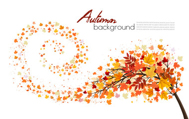 Fototapete - Autumn absctact background with a tree and a colorful leaves. Vector.