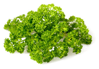 Wall Mural - curly-leaf parsley isolated on the white background