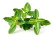 © Amy Lv - fresh thyme herb isolated on the white background
