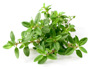 Wall Mural - fresh thyme herb isolated on the white background