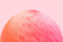 3d Illustration  Orange And Pink Fluffy Ball On Yellow  Isolated Background. Fur Pompon