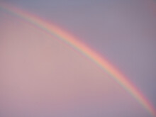 A Large Rainbow Against A Purple-pink Sky. Close-up. Evening Time After The Rain.