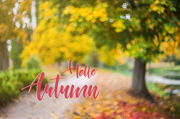 Wall Mural - autumn nature card with leaves