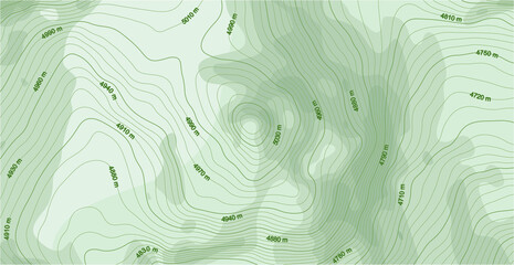 abstract vector topographic map in green colors
