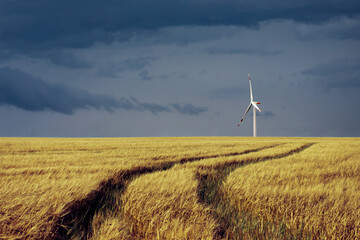 wind turbine and cornfield