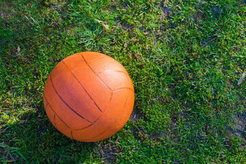 Poster - Overhead shot of a basketball on the grass in the lawn