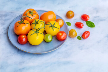 Various Colorful Organic Yellow ,Orange and Red  Tomatoes in a Blue Dish on a Marble Background