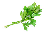 Fototapeta  - Parsley herb isolated on a white background. Fresh parsley macro. Top view