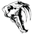 vector realistic line art freehand drawing of saber-toothed tiger or predator skull with large fangs isolated on white background.useful for Halloween product design, postcards, print, tattoo, posters